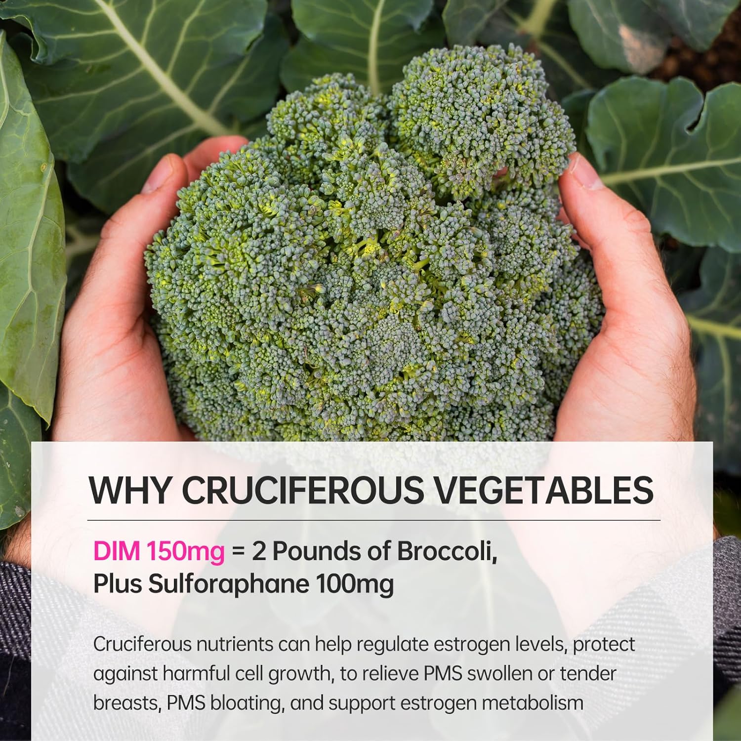 purmeo Women's Non-Chemical TGN Fish Oil - 99.9% Purity, Max Absorption, Breast Health Supplement