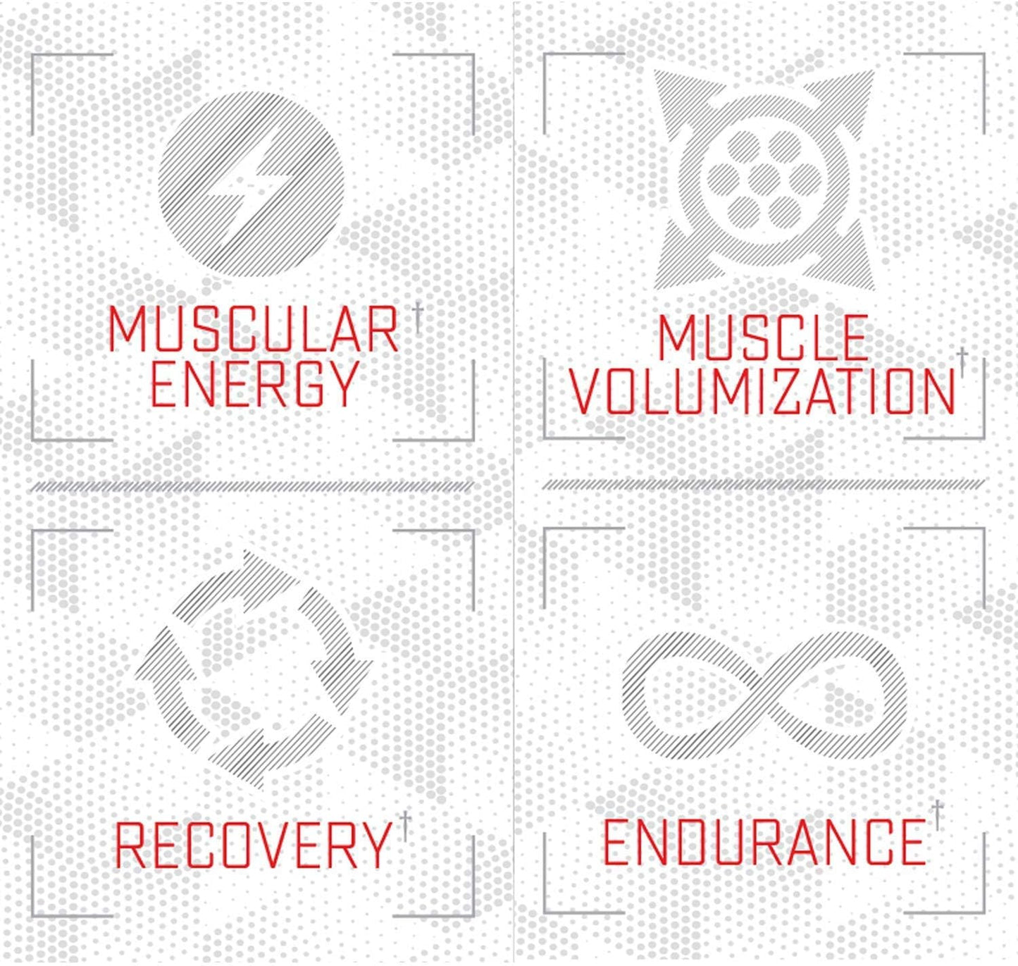 Purus Labs Citrulline Malate Powder - Active L-Citrulline Amino Acid for Strength, Volume, & Recovery - 100 Servings