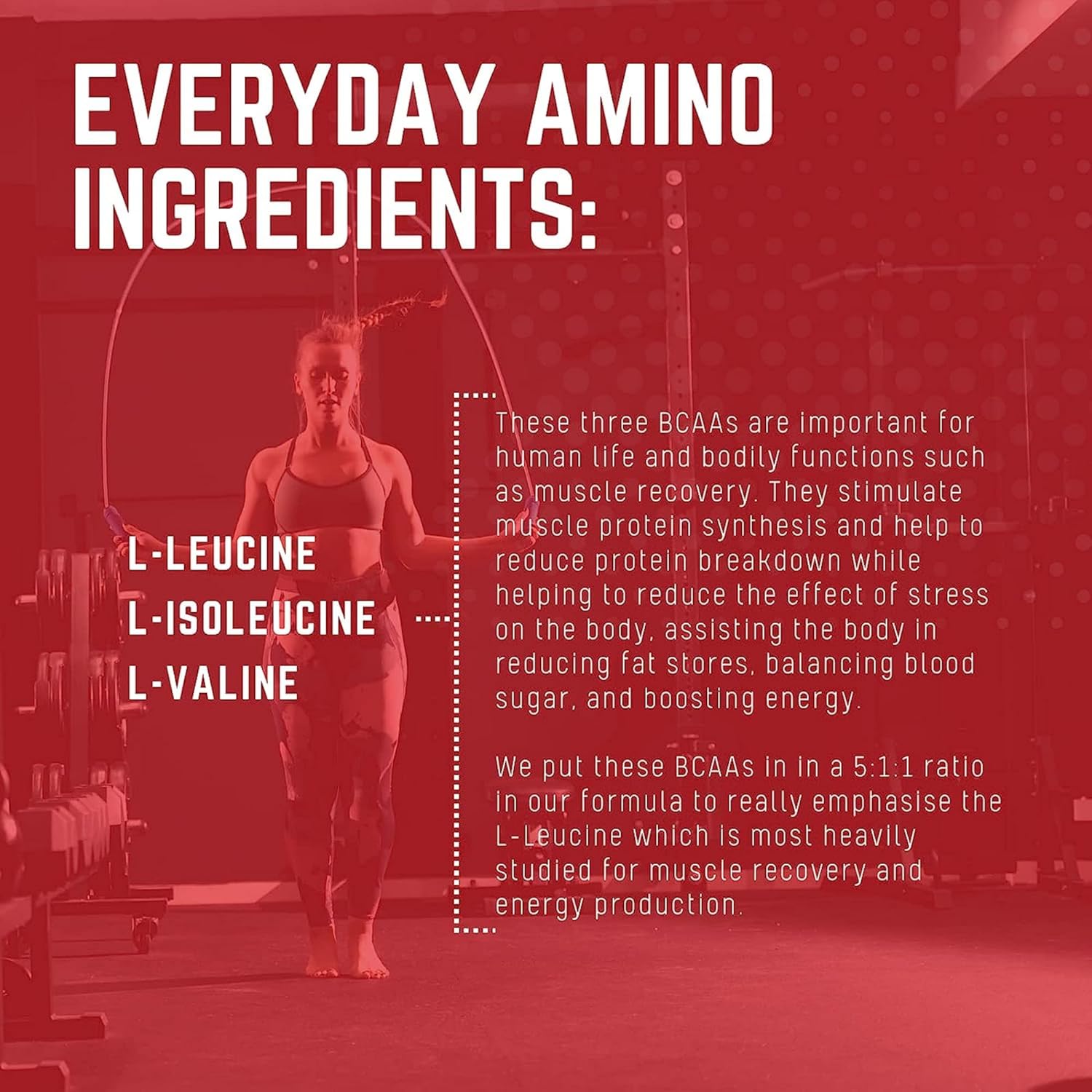Purus Labs Everyday Amino BCAA Powder - Strawberry Lemonade Flavor - 30 Servings - Sugar & Gluten Free - Muscle Hydration & Recovery Amino Acids
