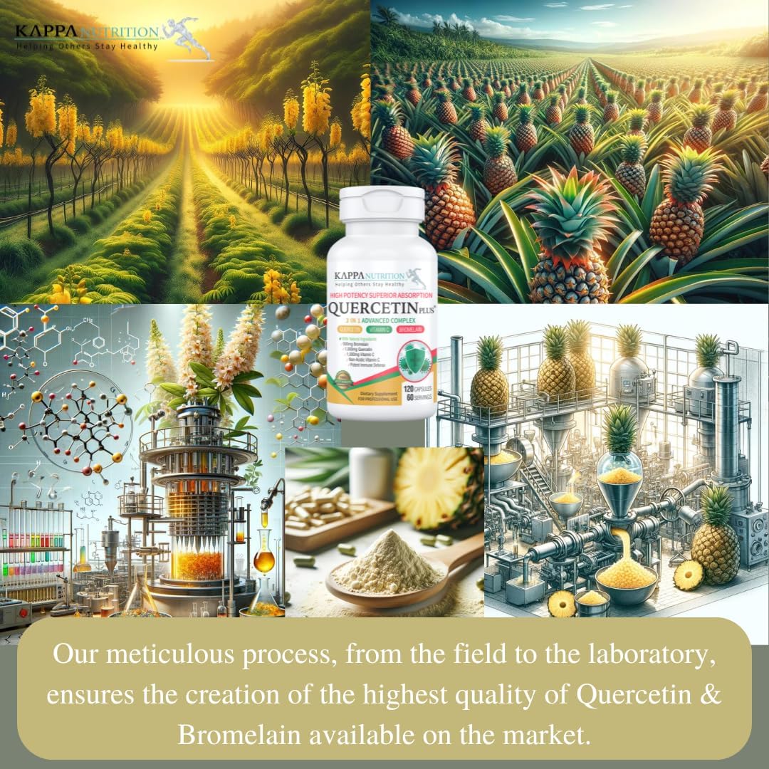 Quercetin Plus with Vitamin C and Bromelain Capsules - Immune, Cardiovascular, and Respiratory Health Support, Allergy Relief - 120 Count