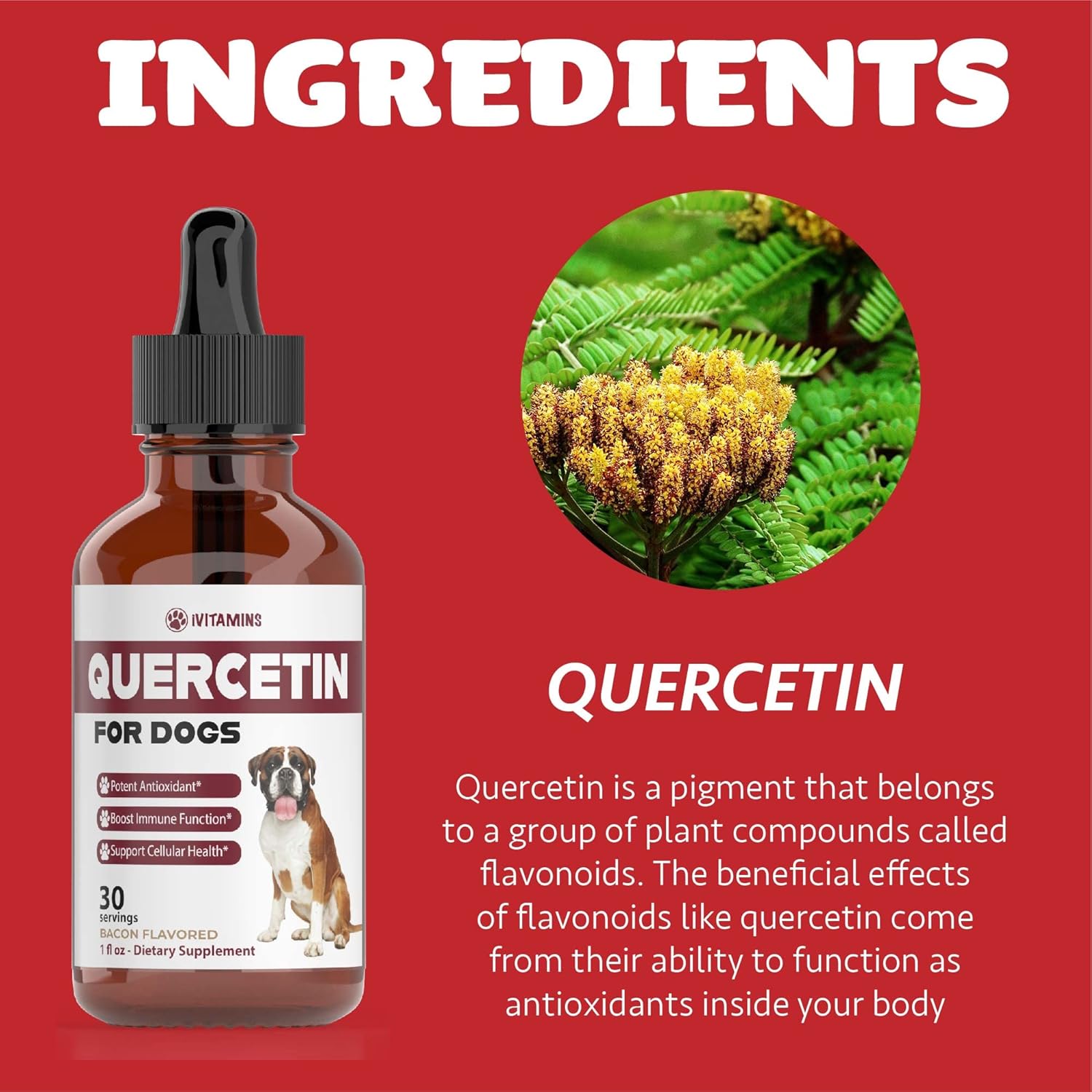Quercetin Supplements for Dogs - Allergy Relief with Bacon Flavor | Dog Allergy Support (2 Pack)
