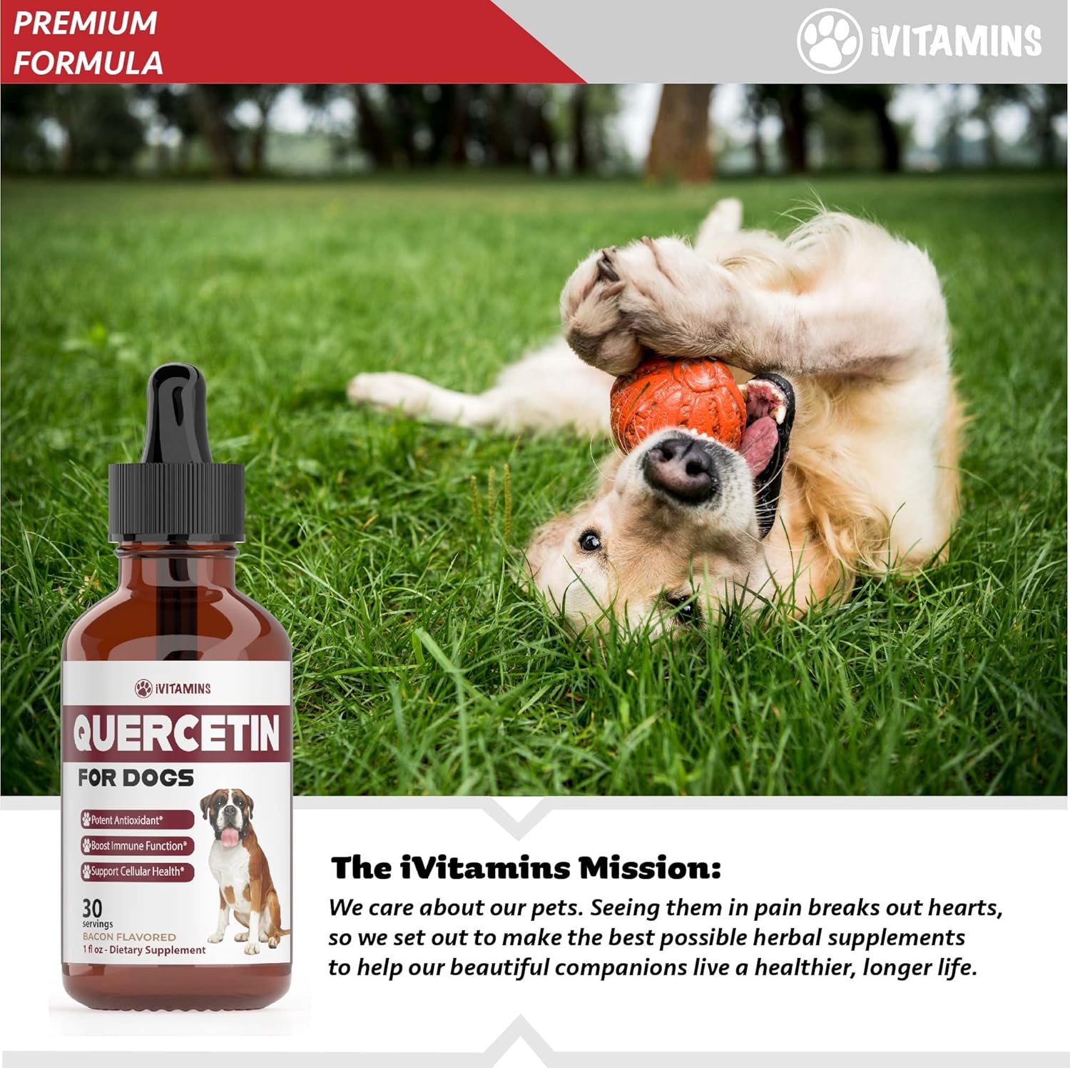 Quercetin Supplements for Dogs - Allergy Relief with Bacon Flavor | Dog Allergy Support (2 Pack)