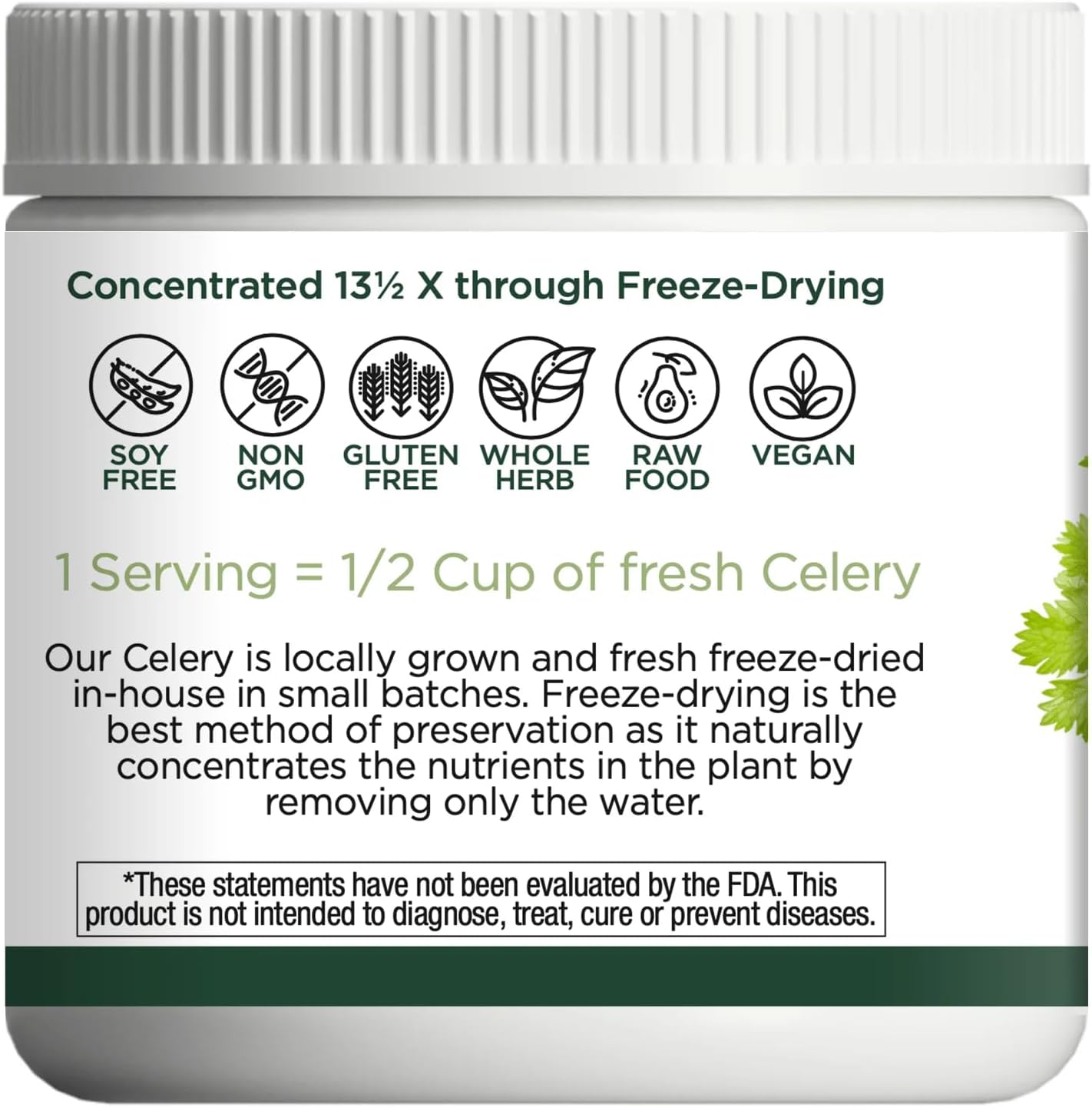 Raw Fresh Freeze-Dried Celery Whole Food Powder by Eclectic Institute - 3.2 oz (90 g)