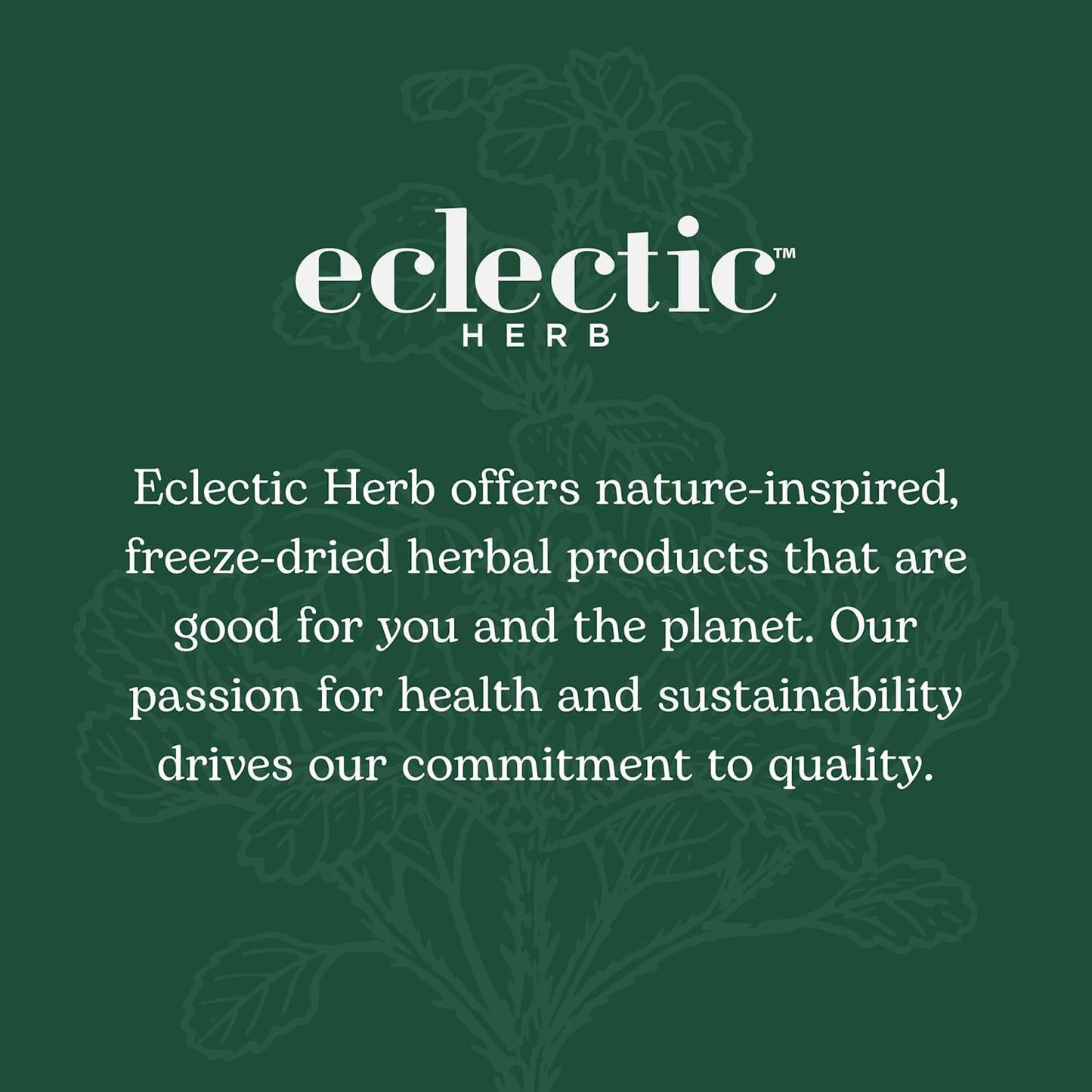 Raw Fresh Freeze-Dried Celery Whole Food Powder by Eclectic Institute - 3.2 oz (90 g)