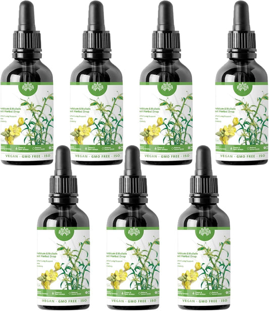 RCSCBC 2023 Years Dendrobium & Mullein Extract Drops for Lung Support - Herbal Care Essence (7pcs)