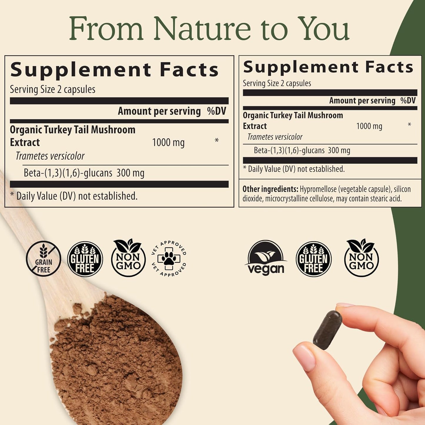 Real Mushrooms RealBoost & 5 Defenders Bundle - Mushroom Supplement for Energy, Vitality, and Immunity - Vegan & Non-GMO - 60ct & 90ct