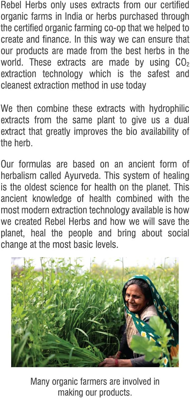 Rebel Herbs Nuroade Capsules: Brain Supplement for Focus, Memory, and Clarity with Bacopa and Celastrus