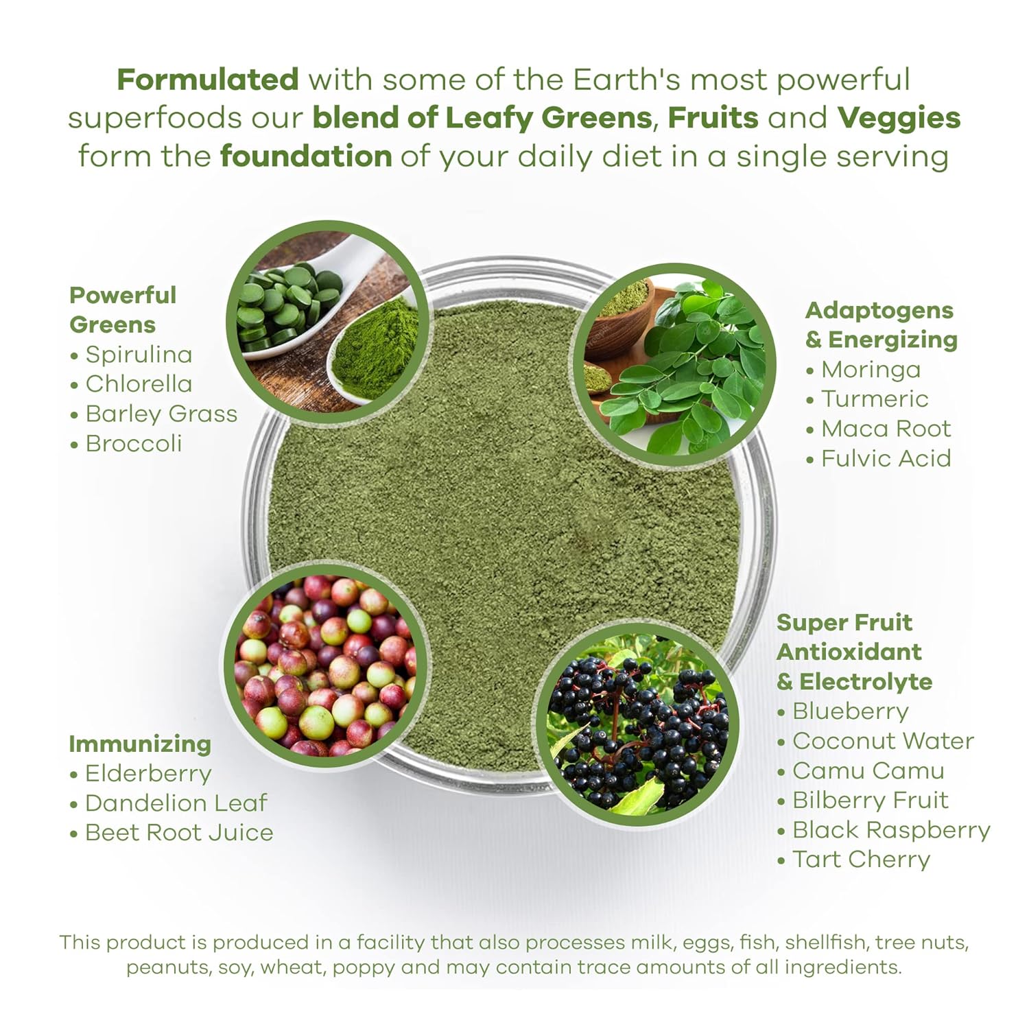 Red's Kitchen Sink Daily Greens Superfood Powder with Maca Root, Spirulina, Chlorella - Fruity, Veggie, & Leafy Greens Mix (200g)