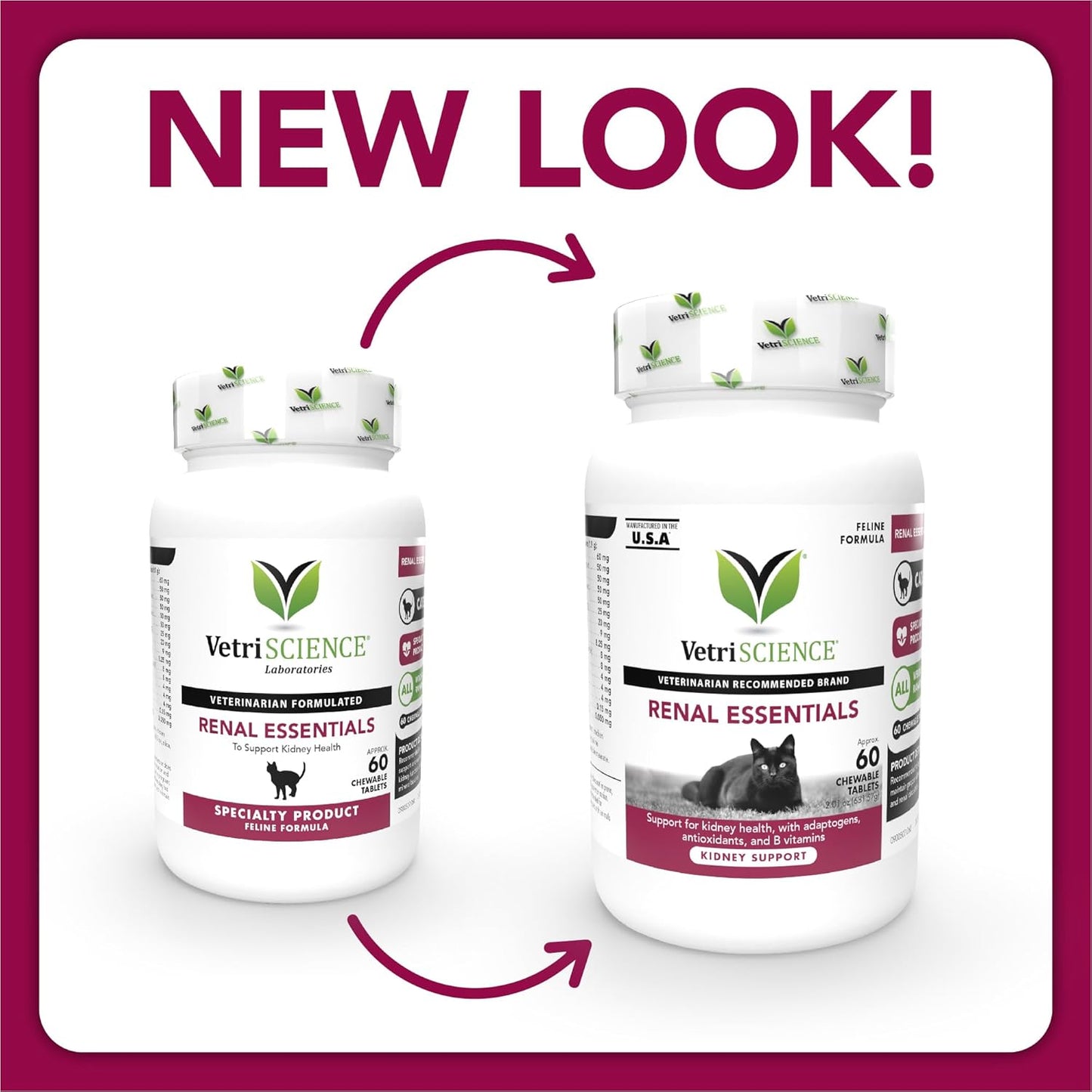 Renal Essentials for Cats - 60 Count by VETRISCIENCE, Vetri-Science Laboratories