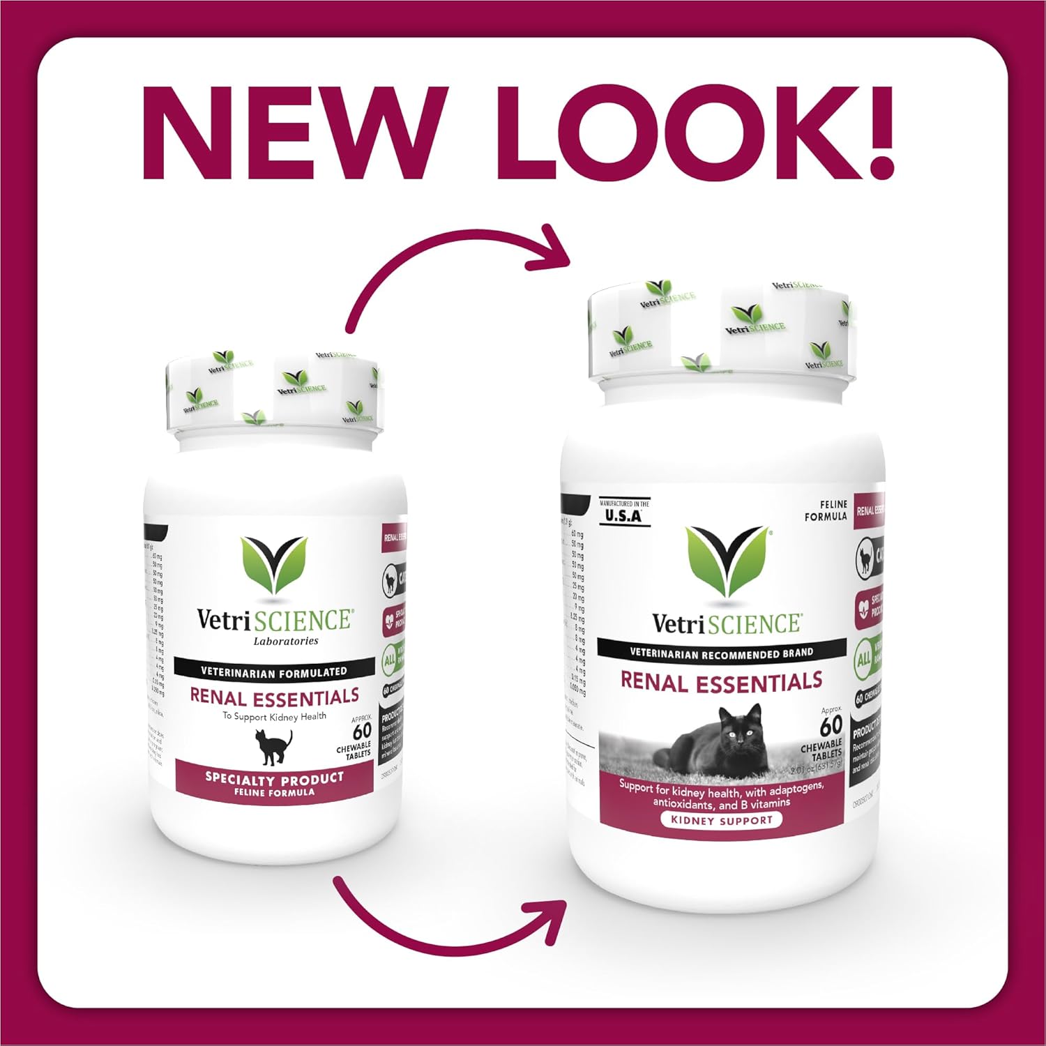 Renal Essentials for Cats - 60 Count by VETRISCIENCE, Vetri-Science Laboratories