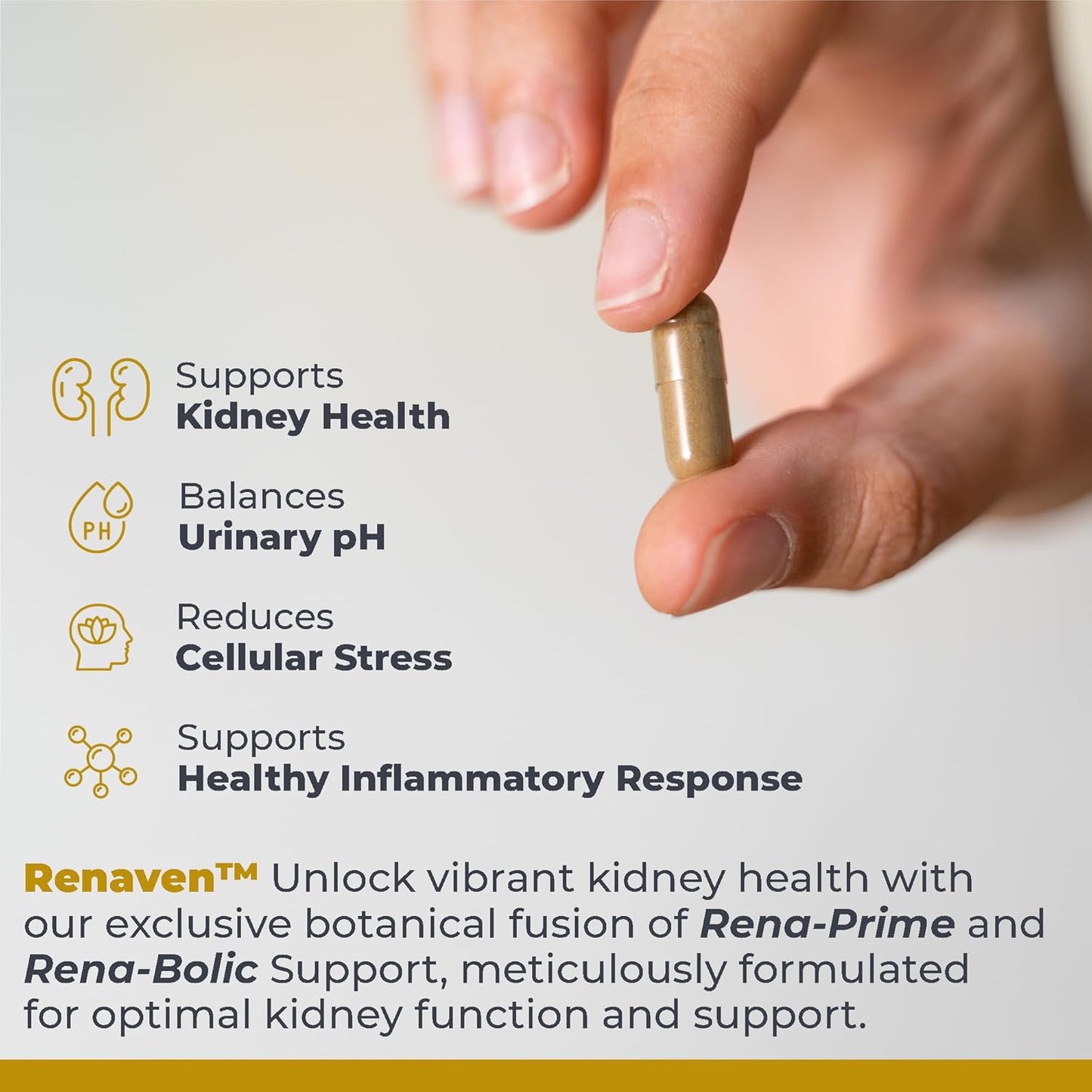 RenaVen: Kidney Cleanse Detox & Repair, Improve Function with Fermented Cordyceps - 60 Capsules