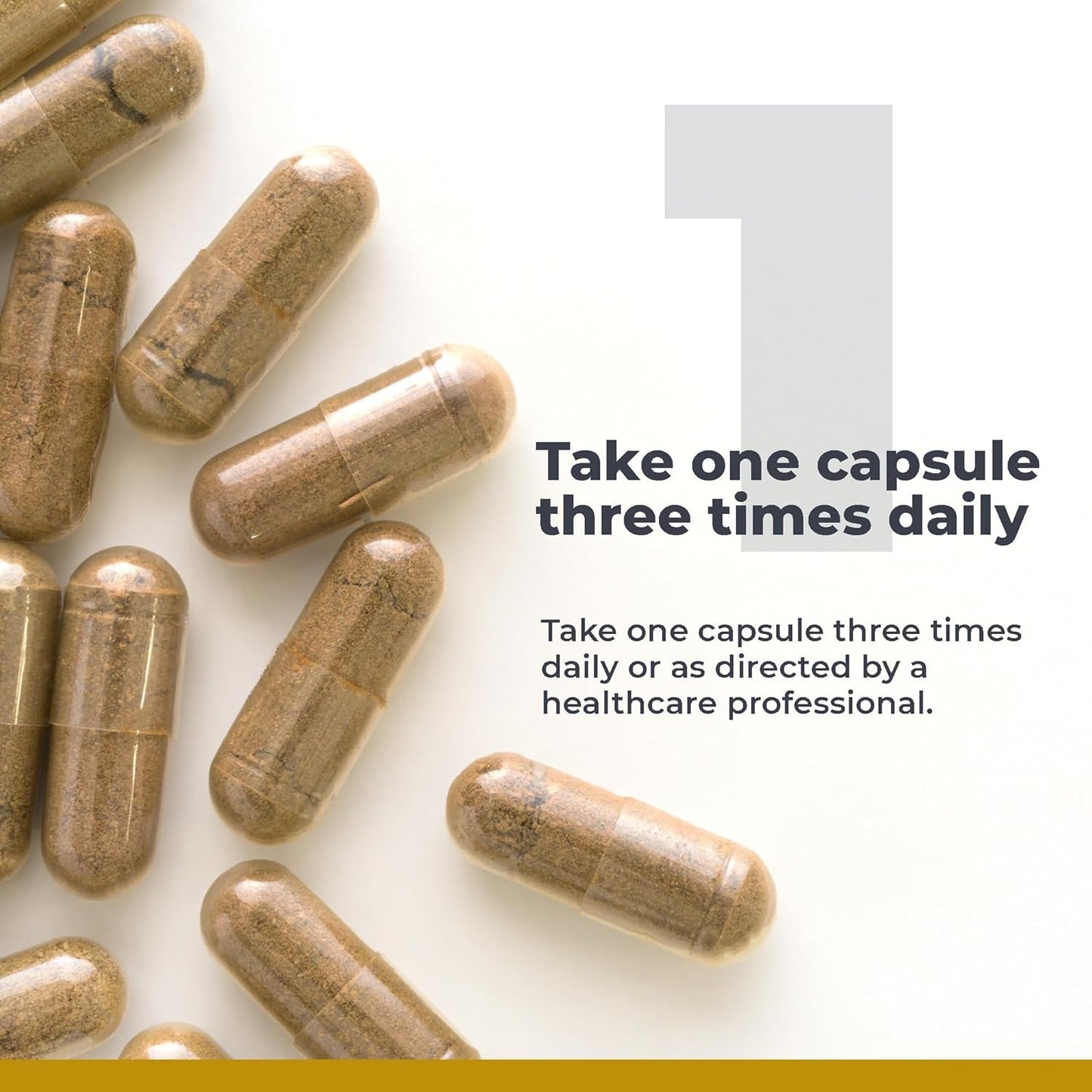 RenaVen: Kidney Cleanse Detox & Repair, Improve Function with Fermented Cordyceps - 60 Capsules