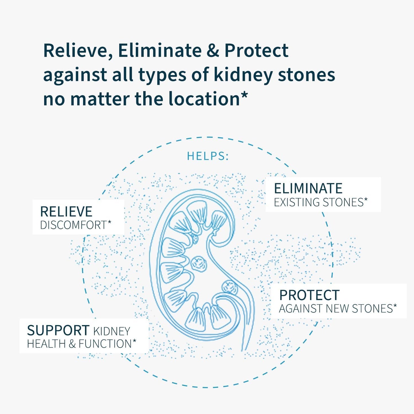 Renavive Kidney Stone Cleanse Capsules with Chanca Piedra & Celery Seed - Supports Kidney Health & Function, Clear System of Impurities