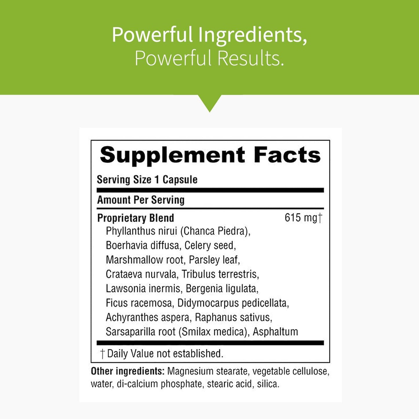 Renavive Kidney Stone Cleanse Capsules with Chanca Piedra & Celery Seed - Supports Kidney Health & Function, Clear System of Impurities
