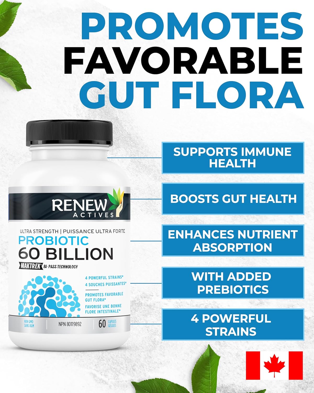 Renew Actives Probiotic Supplement - 60 Billion CFU with Prebiotic Benefits for Gut Health - Supports Digestive Balance - 60 Capsules