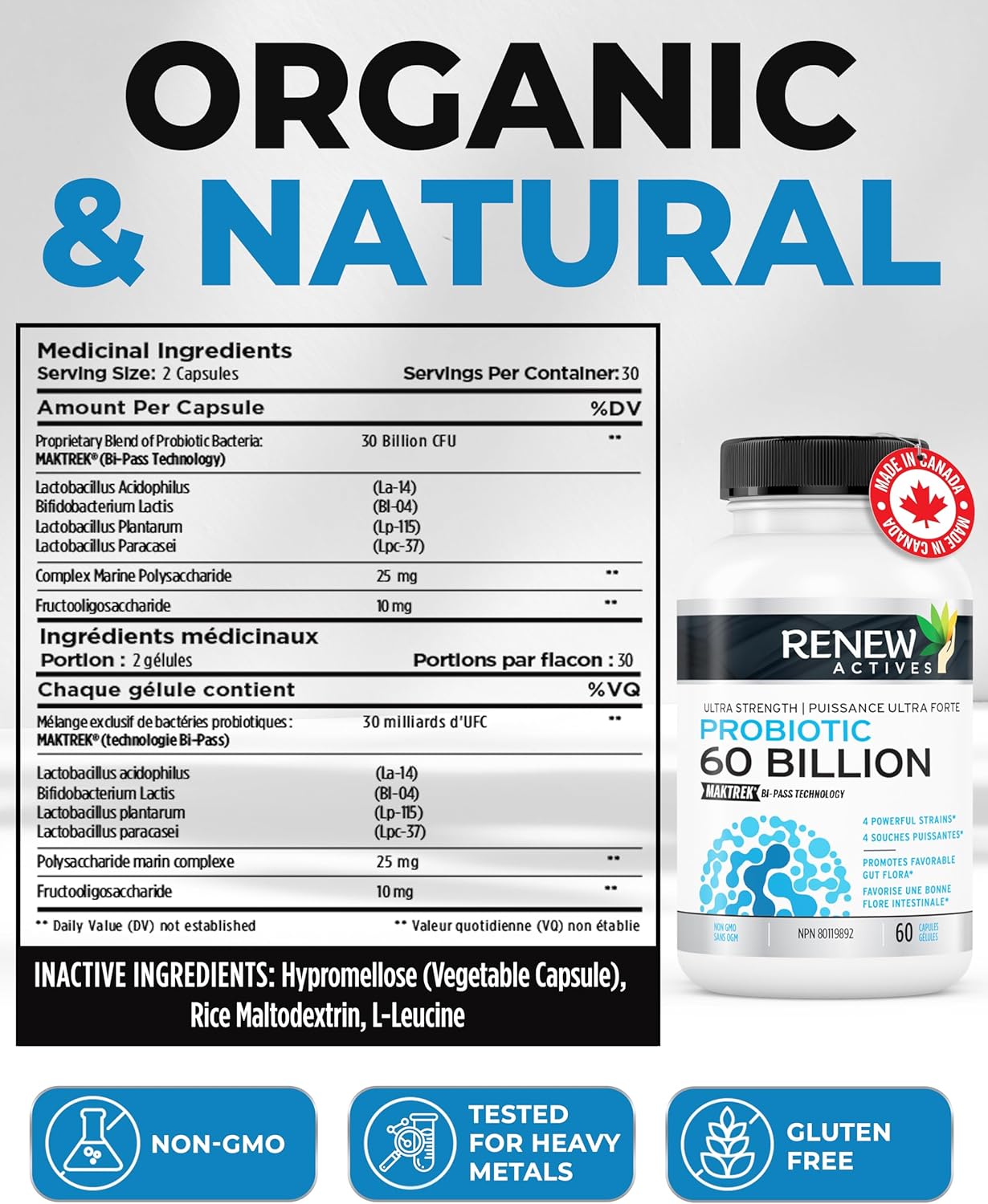 Renew Actives Probiotic Supplement - 60 Billion CFU with Prebiotic Benefits for Gut Health - Supports Digestive Balance - 60 Capsules