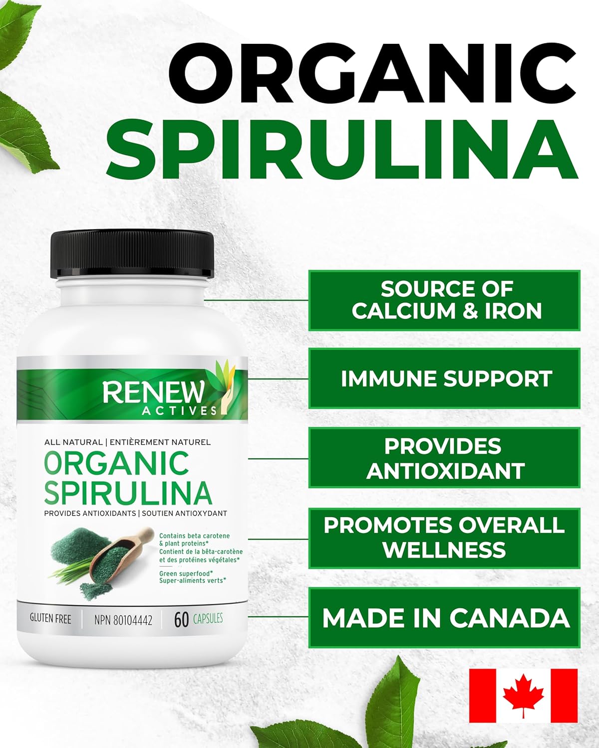 Renew Actives Spirulina Supplement - Natural Maximum Strength Antioxidant Source for Health & Wellness - 60 Capsules