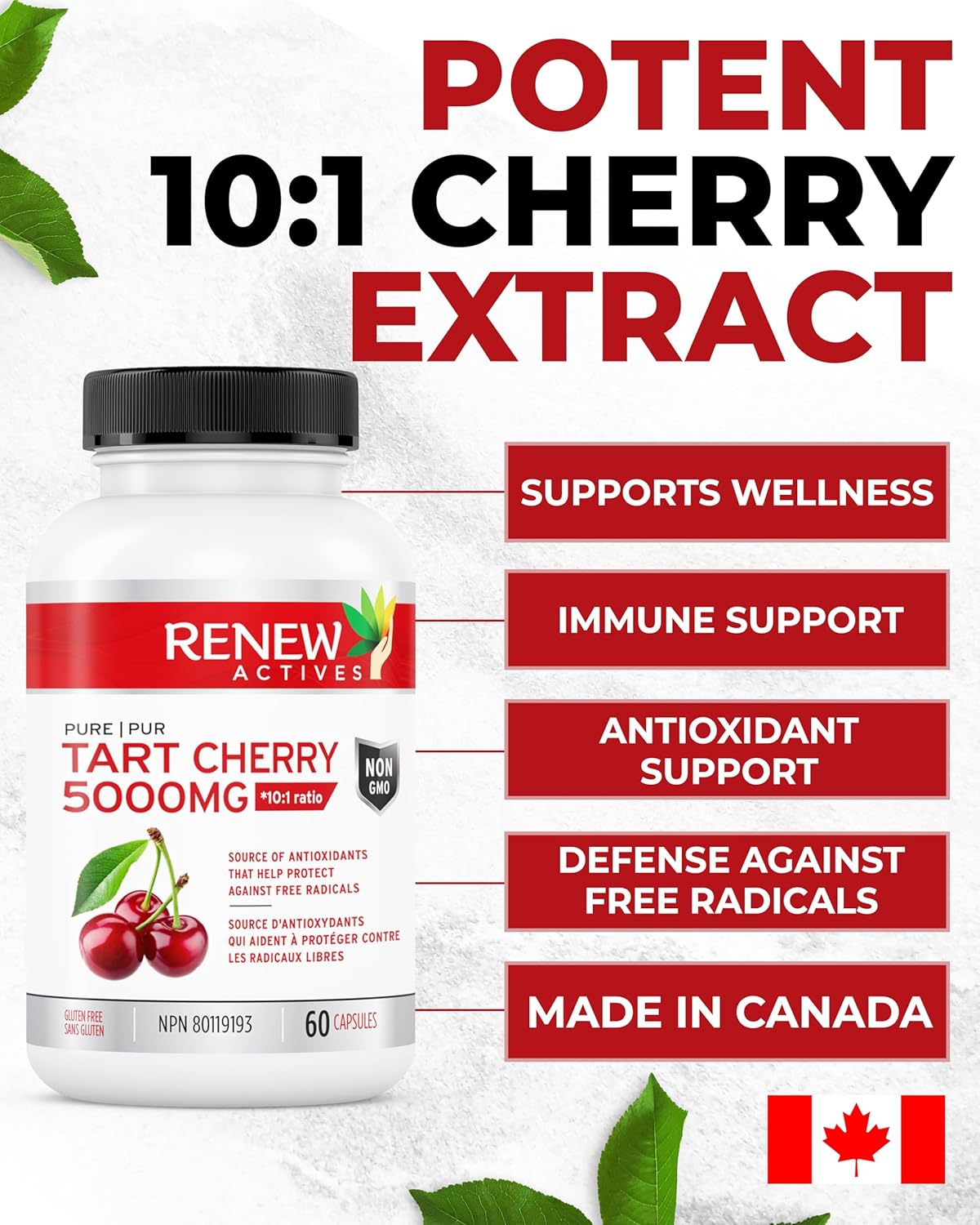Renew Actives Tart Cherry Extract Capsules - 10,000mg per Serving - Antioxidant for Wellness - 60 Capsules - Made in Canada