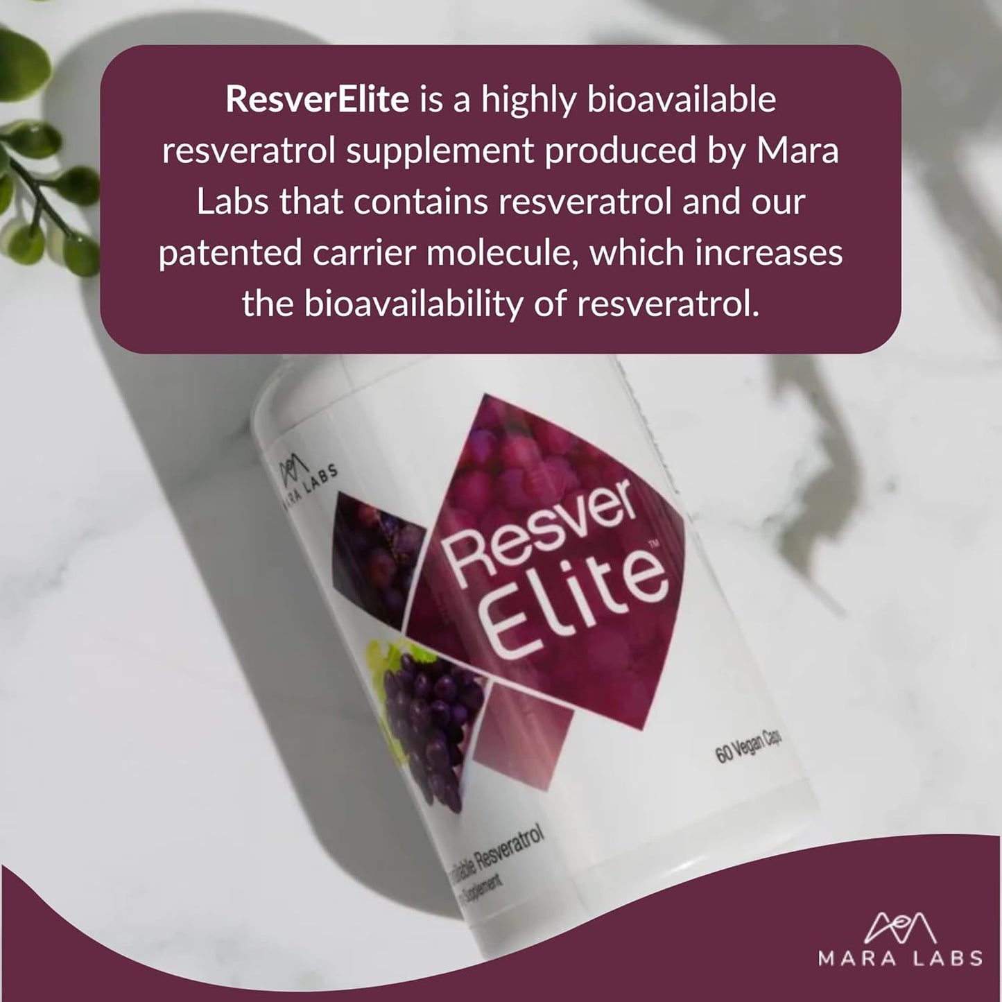 ResverElite by BrocElite | Vegan Resveratrol Supplement with No Fillers | Non-GMO | 30 Servings