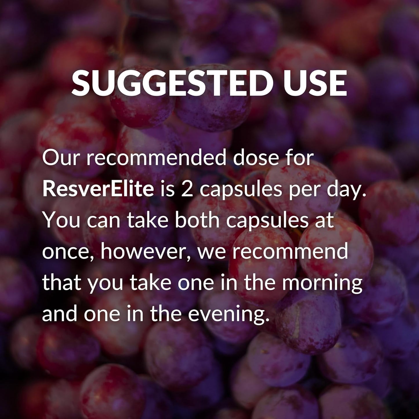 ResverElite by BrocElite | Vegan Resveratrol Supplement with No Fillers | Non-GMO | 30 Servings