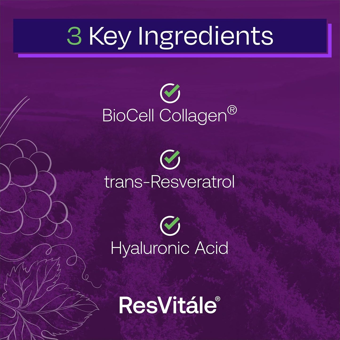 ResVitale Collagen Enhance Capsules with Hyaluronic Acid & Resveratrol - 120 Count Beauty Supplement - BoostGo Australia
