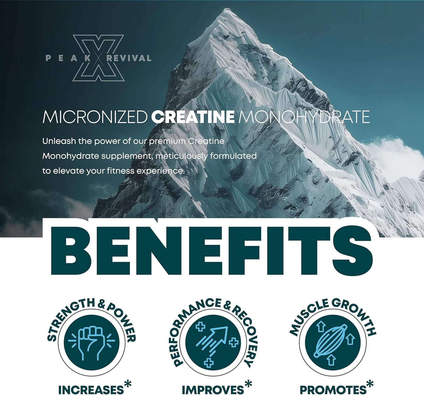 RevitalizeX Fadogia Agrestis Performance Supplement with Creatine, Turkesterone, and Tongkat Ali - 60 Capsules, Gluten-Free, Non-GMO, Vegan