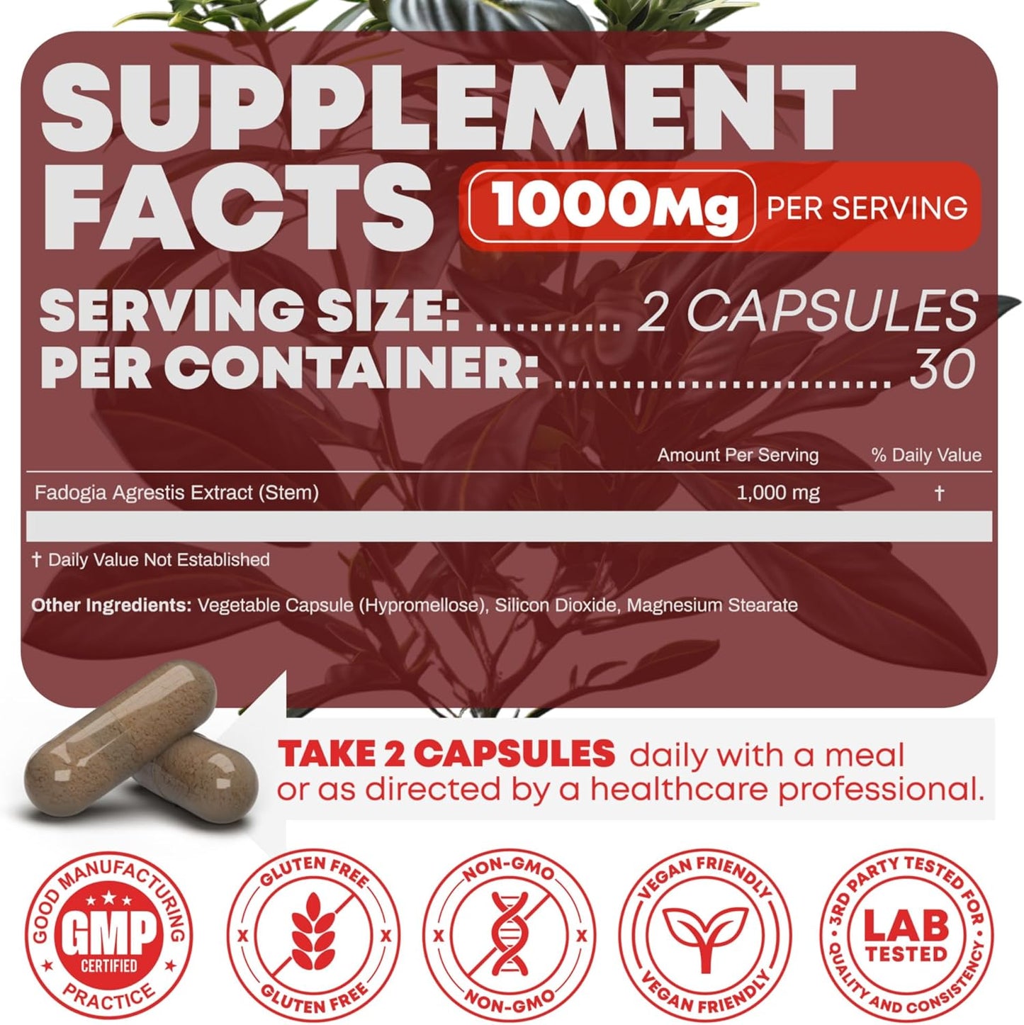 RevitalizeX Fadogia Agrestis Performance Supplement with Creatine, Turkesterone, and Tongkat Ali - 60 Capsules, Gluten-Free, Non-GMO, Vegan