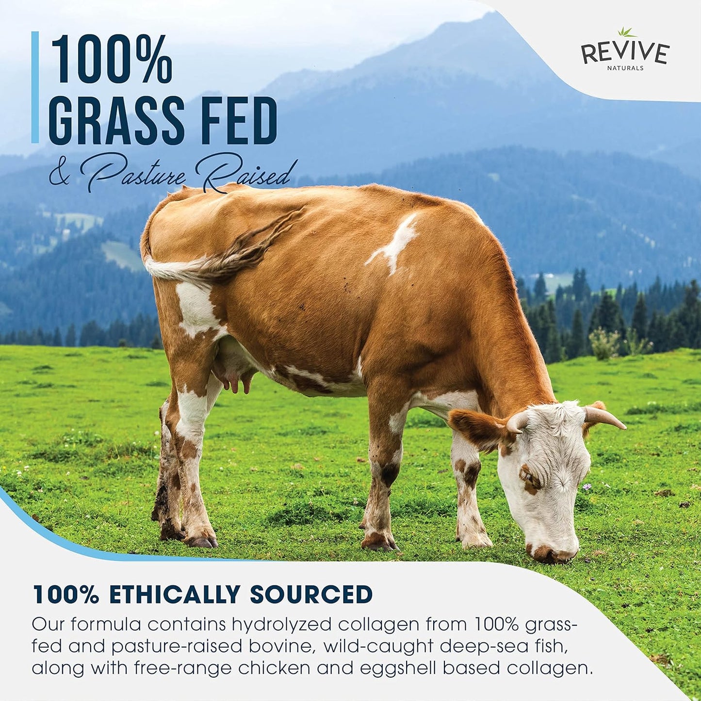 Revive Naturals Multi Collagen Protein Powder - 16oz, Types I, II, III, V & X - Grass Fed Bovine, Wild Caught Marine, Free Roaming Chicken & Eggshell Peptides