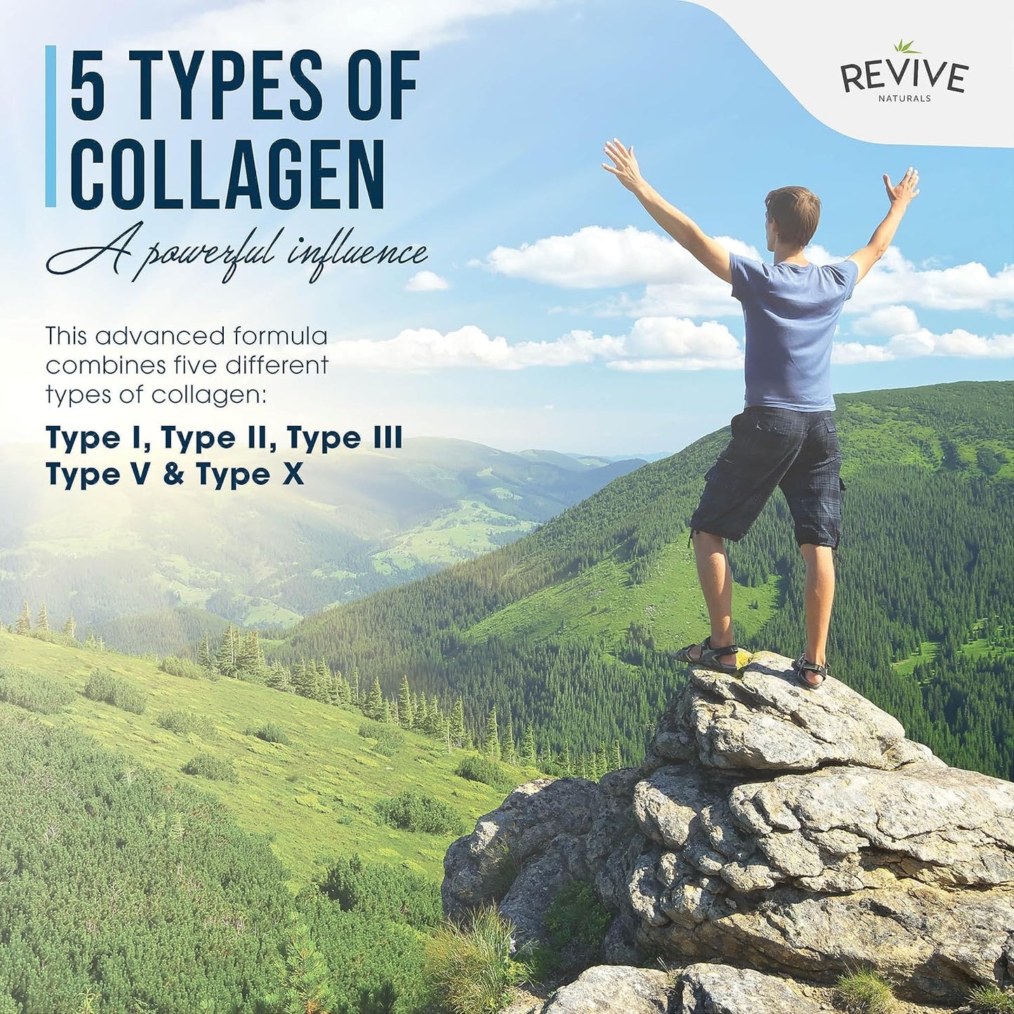 Revive Naturals Multi Collagen Protein Powder - 16oz, Types I, II, III, V & X - Grass Fed Bovine, Wild Caught Marine, Free Roaming Chicken & Eggshell Peptides