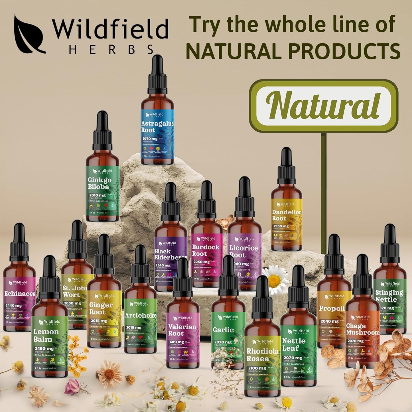 Rhodiola Rosea Root Tincture Extract Drops 2100mg - Herbal Supplement, Alcohol-Free, 1 Month Supply - 2 Oz