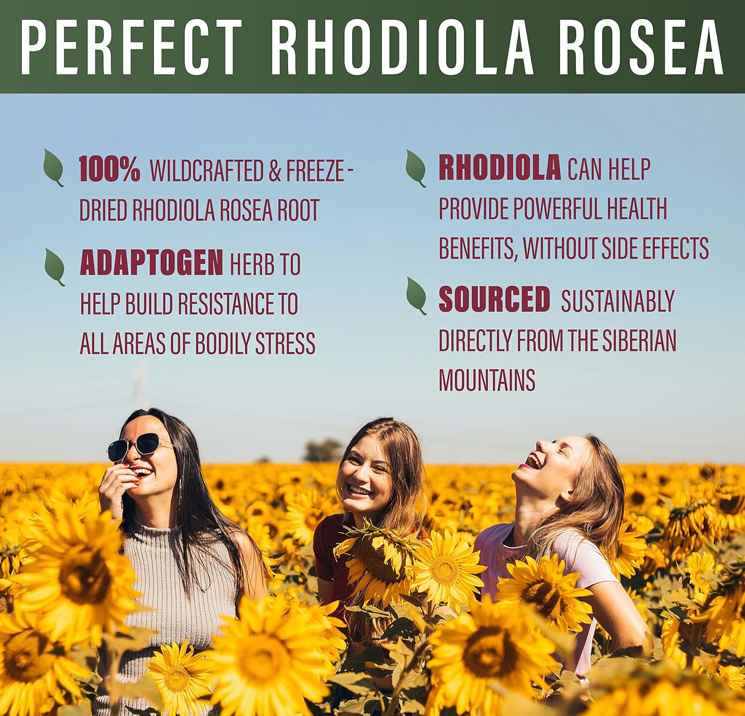 Rhodiola Rosea Supplement for Energy, Focus, and Stress Relief - 3% Rosavins to 1% Salidroside Ratio - Natural Adaptogen - 60 Capsules