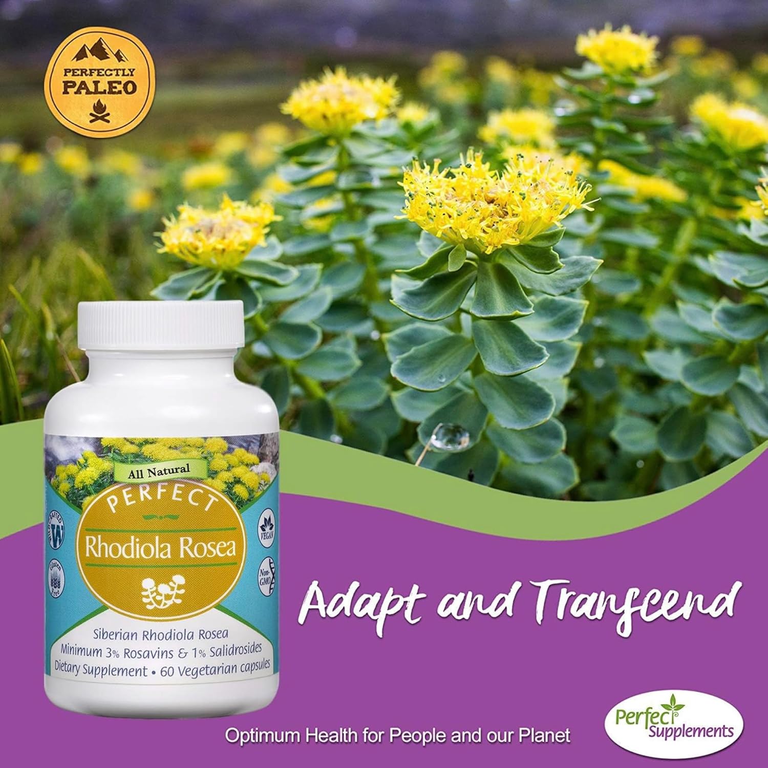 Rhodiola Rosea Supplement for Energy, Focus, and Stress Relief - 3% Rosavins to 1% Salidroside Ratio - Natural Adaptogen - 60 Capsules
