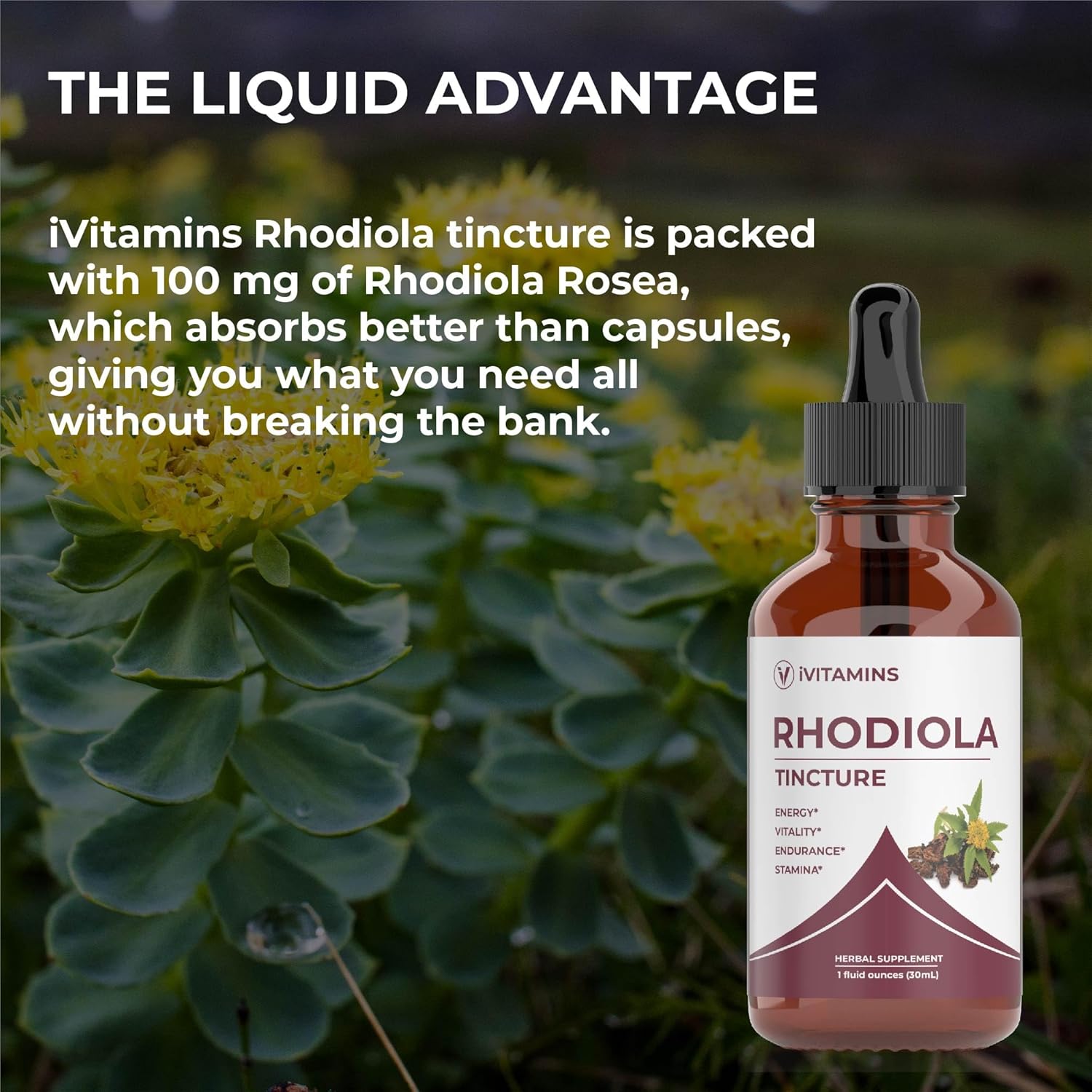 Rhodiola Rosea Tincture for Energy, Stamina & Cognitive Support - 1 fl oz | Rhodiola Extract Supplement