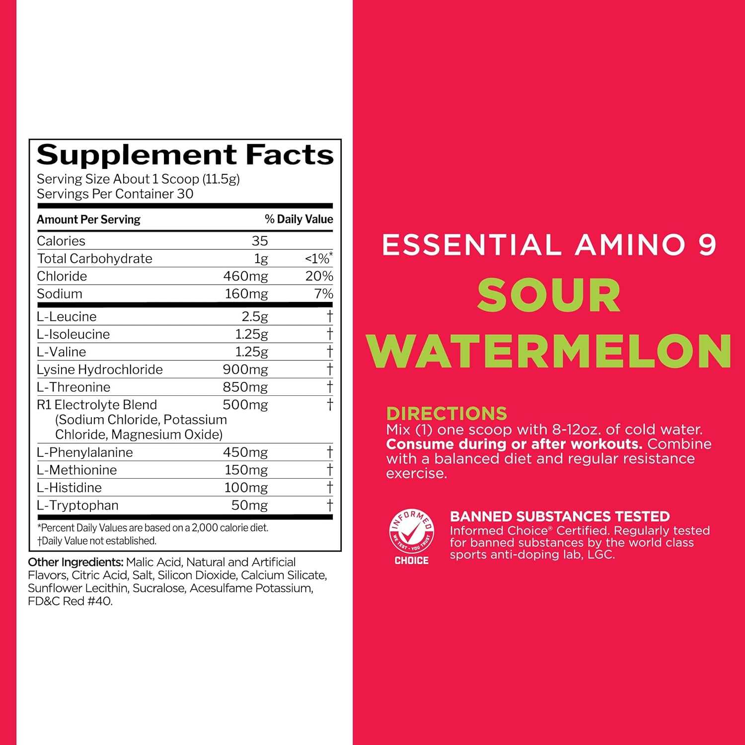 Rule 1 Essential Amino 9 - Recovery & Hydration Support with Electrolytes (Sour Watermelon, 30 Servings)