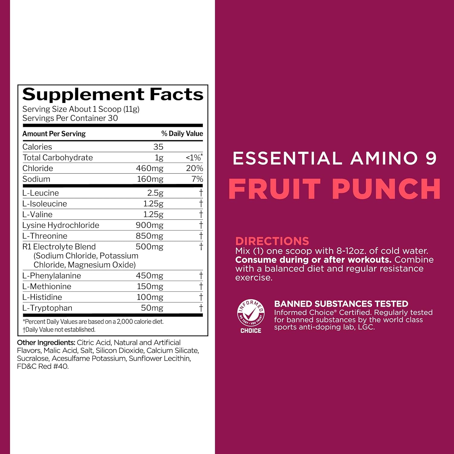 Rule 1 Essential Amino 9 Supplement - Recovery and Hydration Support with Electrolytes - Fruit Punch Flavor - 30 Servings
