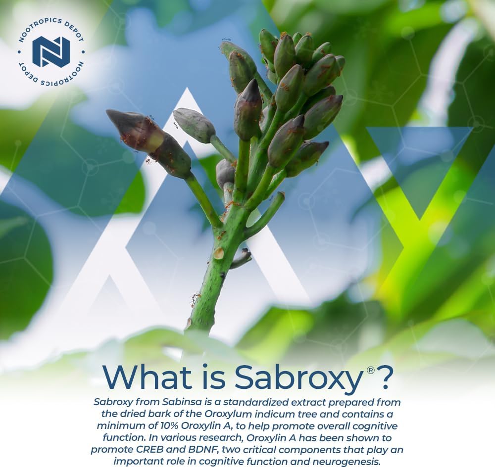 Sabroxy® Tablets - 500mg (60 Count) with Minimum 10% Oroxylin-A for Focus, Motivation, and Cognitive Function