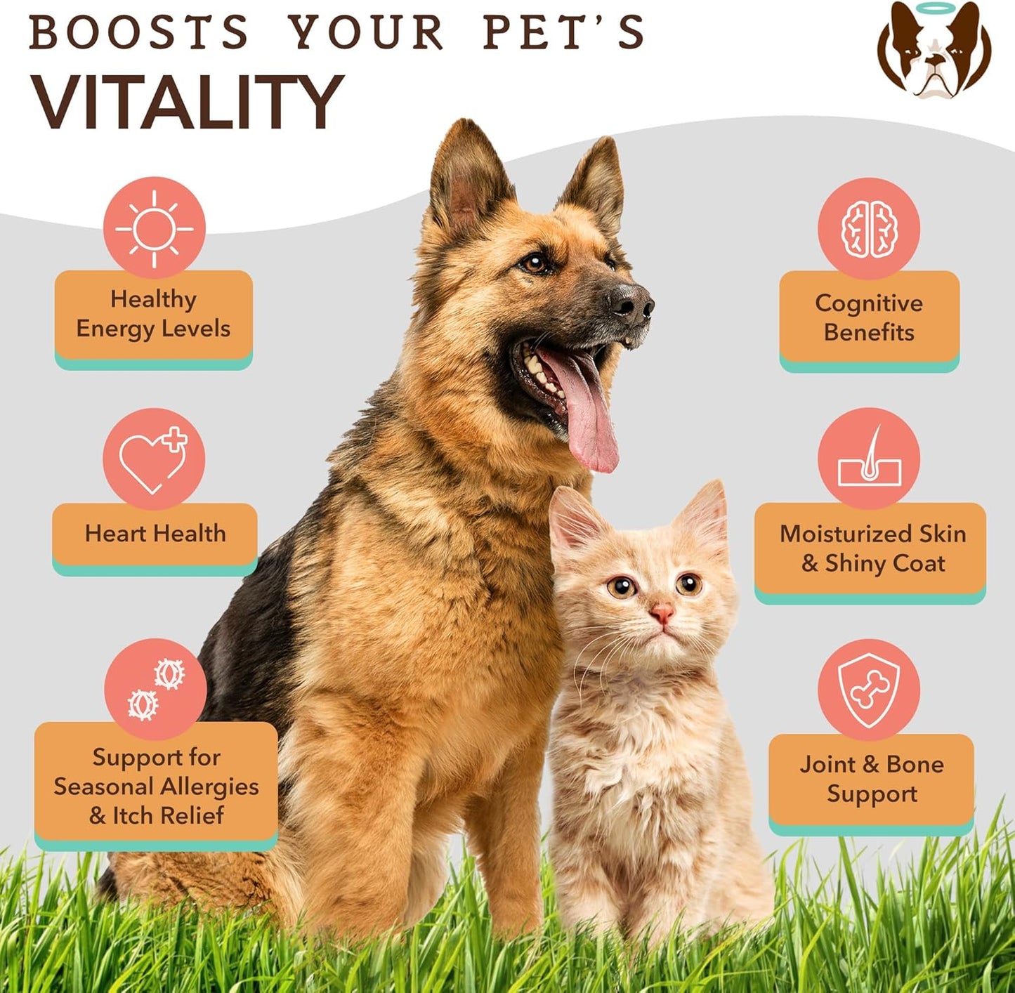 Salmon Oil & Colostrum Bundle for Dogs: Allergy Prevention & Healthy Skin - Natural Dog Company Wild Alaskan Salmon Oil & Aller-Immune Chews