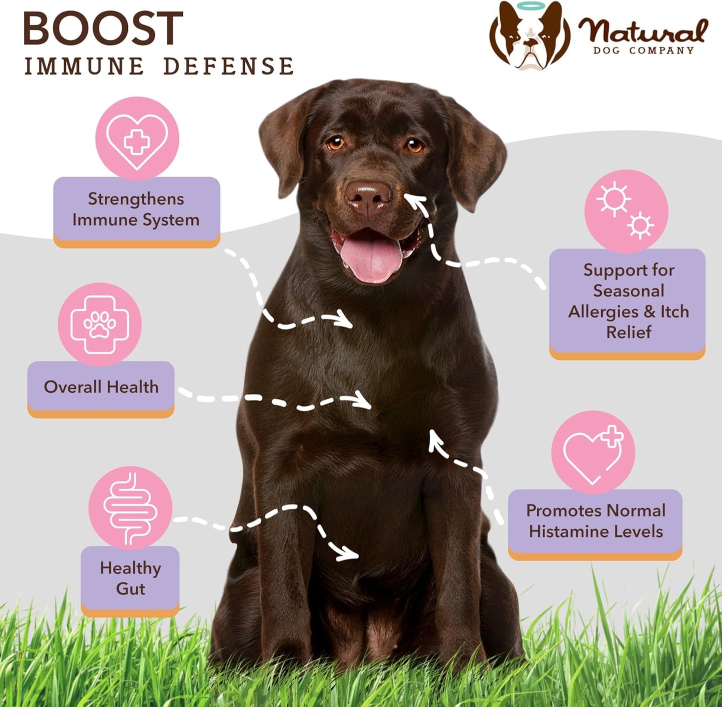 Salmon Oil & Colostrum Bundle for Dogs: Allergy Prevention & Healthy Skin - Natural Dog Company Wild Alaskan Salmon Oil & Aller-Immune Chews