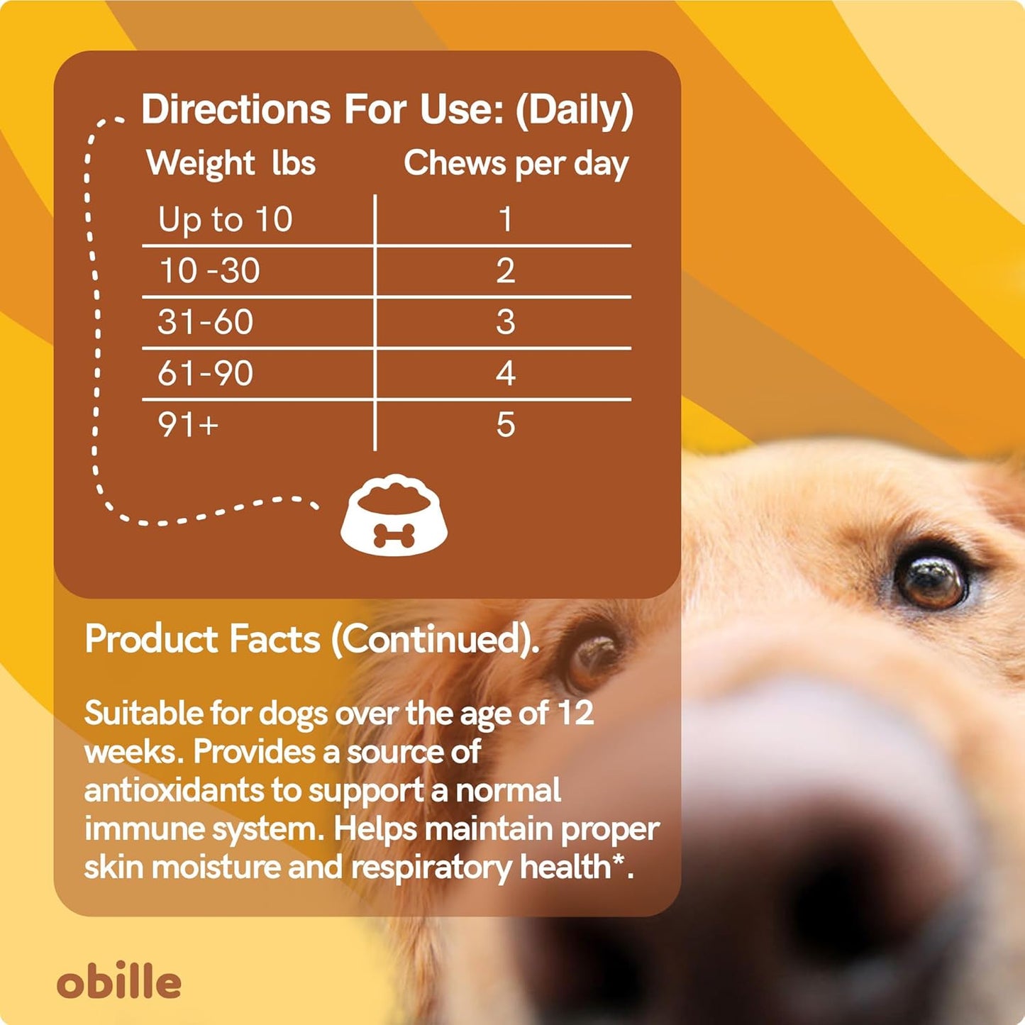 Salmon Oil Supplement for Dogs - 160 Chews, 12oz - Promotes Shiny Coat, Soothes Dry Skin, Supports Immune & Heart Health, Reduces Allergies & Shedding