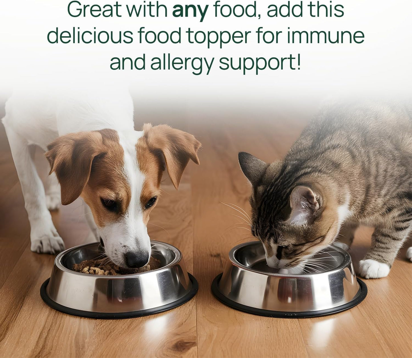 Salmon Oil Supplement for Dogs and Cats - Helps Control Shedding, Allergies, and Itchy Skin - Rich in Omega-3 and Omega-6 Fatty Acids