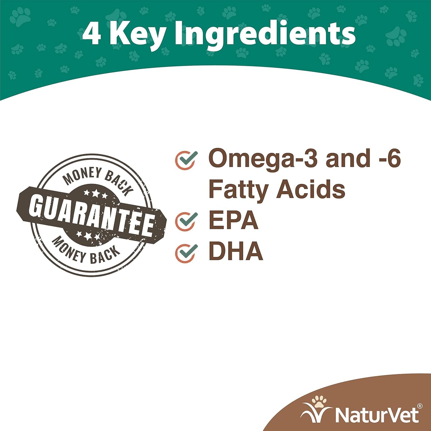 Salmon Oil Supplement for Dogs & Cats - Promotes Healthy Skin & Coats - Omega-3 & Omega-6 Fatty Acids - 16 Oz. Bottle