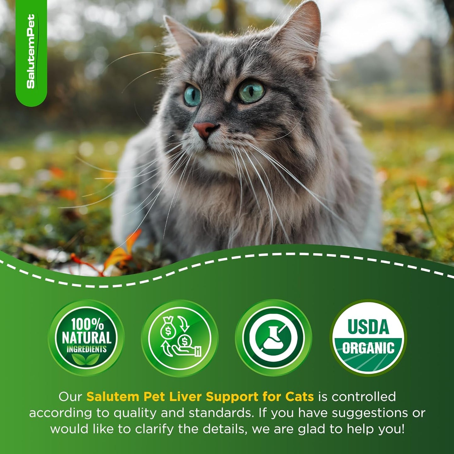 SalutemPet Cat Kidney Support with Milk Thistle - Herbal Supplement for Cats of All Breeds - Chicken Flavor - 2 Oz