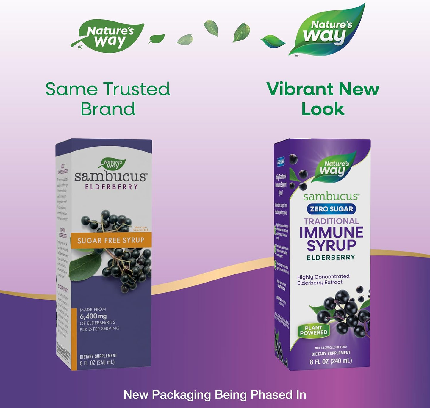 Sambucus Zero Sugar Traditional Immune Syrup - High Concentration Black Elderberry Extract - Sugar-Free, Berry Flavored - 8 Fl Oz - BoostGo Australia