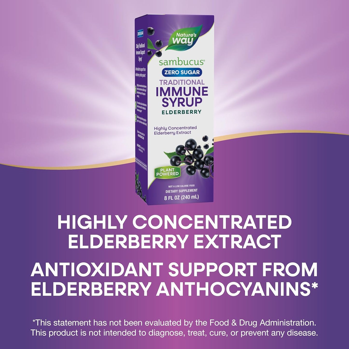 Sambucus Zero Sugar Traditional Immune Syrup - High Concentration Black Elderberry Extract - Sugar-Free, Berry Flavored - 8 Fl Oz - BoostGo Australia