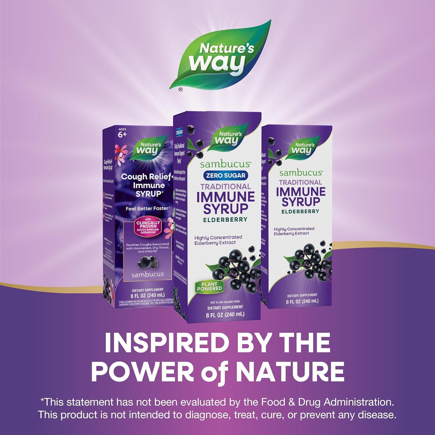 Sambucus Zero Sugar Traditional Immune Syrup - High Concentration Black Elderberry Extract - Sugar-Free, Berry Flavored - 8 Fl Oz - BoostGo Australia