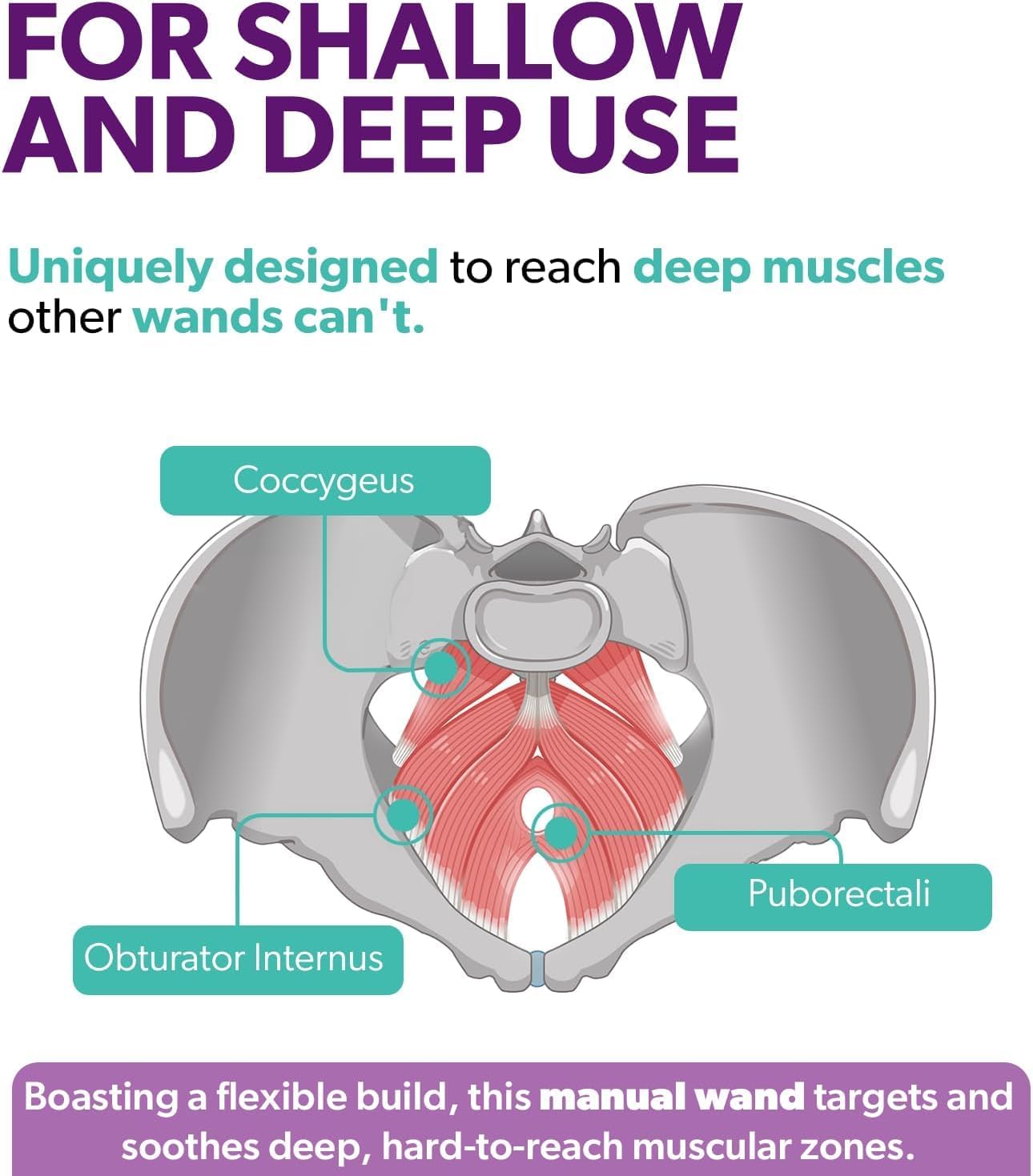 Save 10% on Intimate Rose Aloe Vera Capsules (180 Count) and Pelvic Wand for Pelvic Muscle Pain Relief