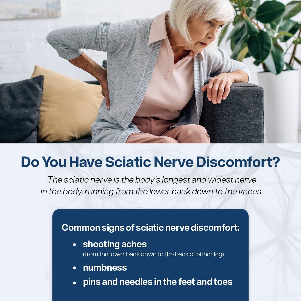 SciatiEase Supplement for Sciatic Nerve Health - Nerve Support Formula with AlphaPalm, Pea, Vitamin B Complex, Alpha Lipoic Acid - 120 Capsules