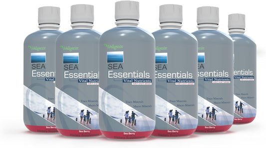 Sea Essentials Coral Calcium Liquid Vitamin in Sea Berry Flavor - High Absorption Multivitamin Supplement by Wellgenix (6-Pack)