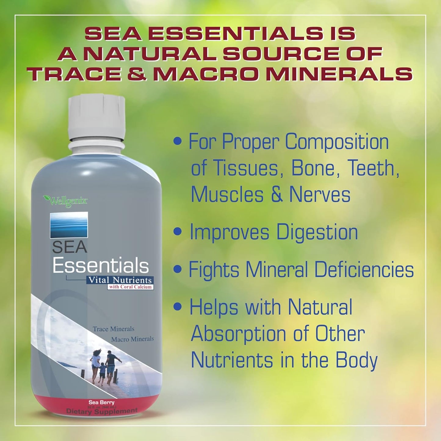 Sea Essentials Coral Calcium Liquid Vitamin in Sea Berry Flavor - High Absorption Multivitamin Supplement by Wellgenix (6-Pack)