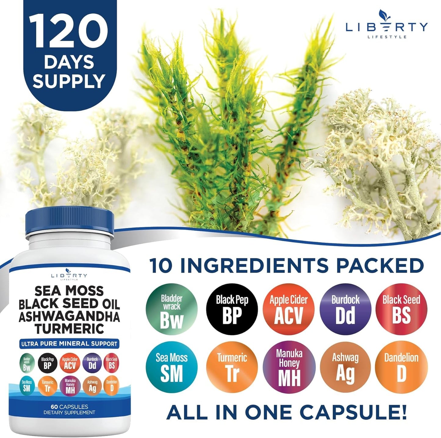 Sea Moss Black Seed Oil Ashwagandha Turmeric Bladderwrack Burdock Capsules with Manuka Honey Dandelion ACV Black Pepper - Gluten Free - 2-Pack